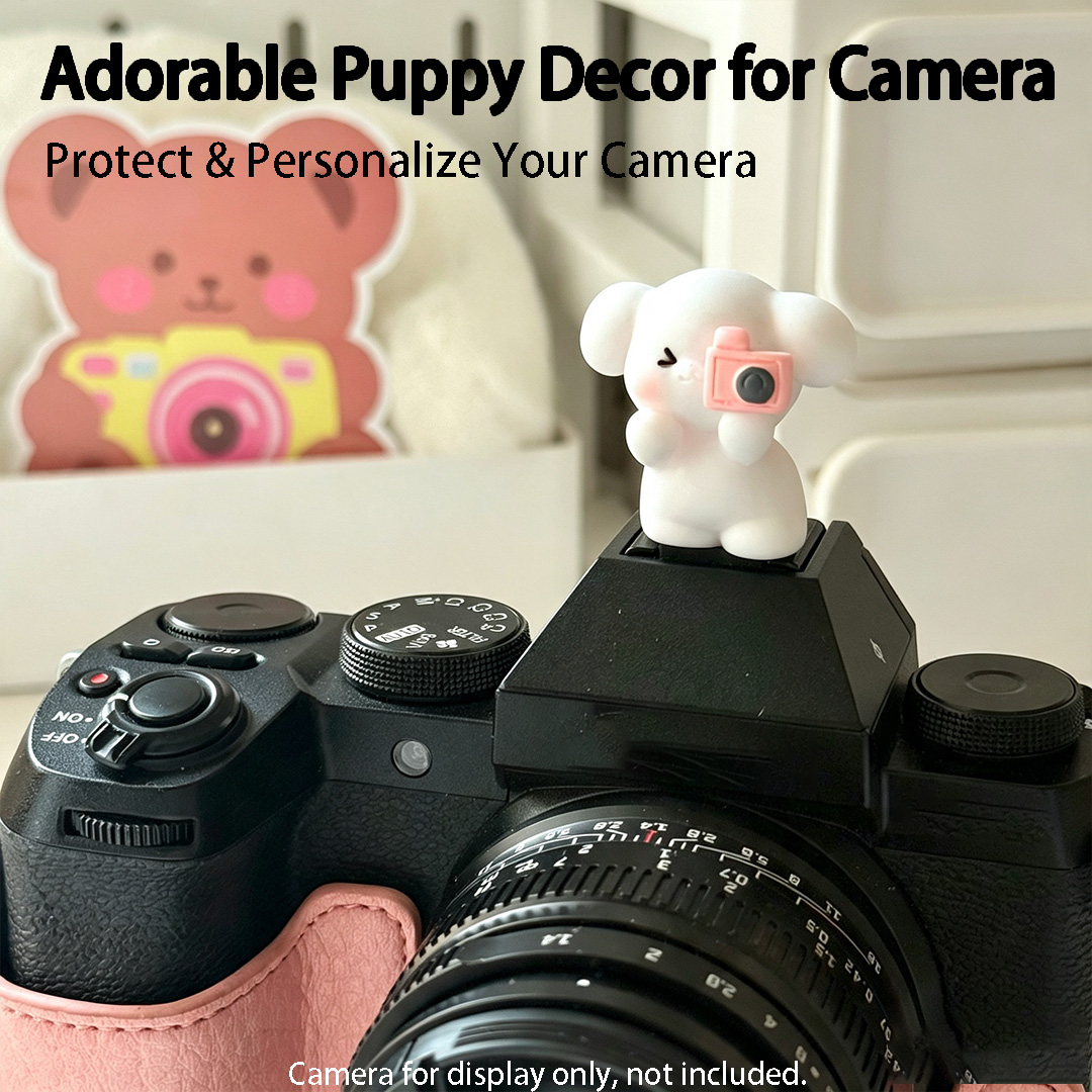 Protector de Zapata para Cámar - Canon Camera Eos R8 reseña y precio